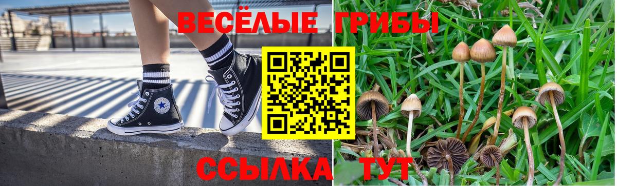 Волхов  Галлюциногенные грибы ЛСД  Галлюциногенные грибы мухоморы  Вход с VPN 