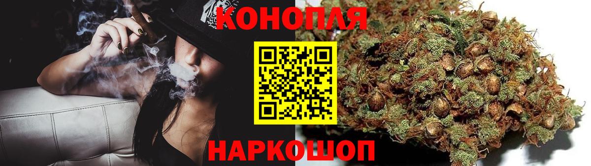 Шишки марихуана конопля Волхов